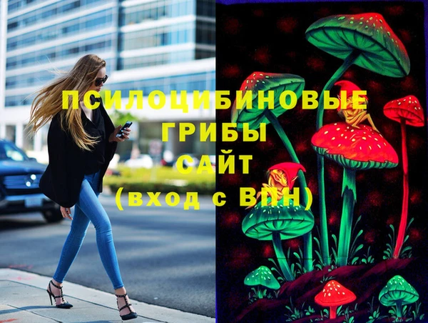 дживик Козловка