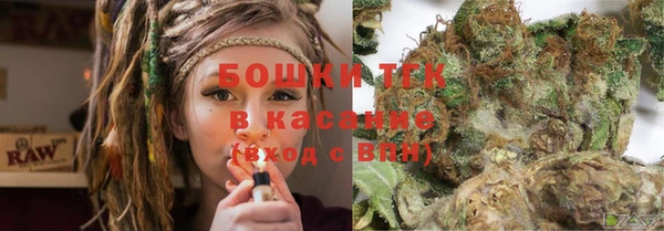 стаф Карталы