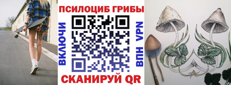 MEGA рабочий сайт Обоянь Галлюциногенные грибы Psilocybe